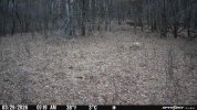 IMG_5621.jpeg