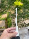 IMG_3884.jpeg