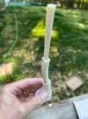 IMG_3885.jpeg