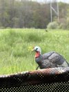 IMG_0364.jpeg