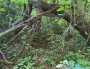 may 15 26 buck bed.jpg