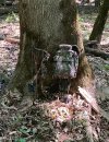 May 15 26 kit.jpg