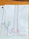 IMG_7633.jpeg
