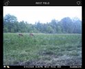 IMG_1528.jpeg