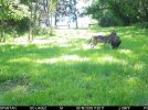 IMG_0637.jpeg
