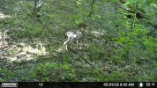 IMG_0278.jpeg