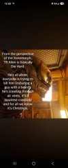 IMG_9914.jpeg