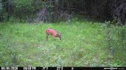 IMG_0042.jpeg