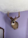 IMG_0665.jpeg