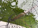 IMG_0046.jpeg