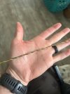 IMG_7583.jpeg
