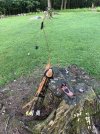 IMG_0335.jpeg