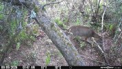 IMG_2407.jpeg