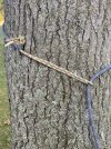 IMG_7804.jpeg