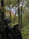 IMG_7994.jpeg