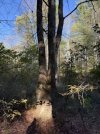 IMG_0187.jpeg