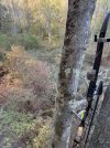 IMG_0190.jpeg