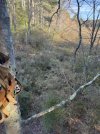 IMG_0189.jpeg