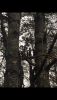 FAE80F63-C057-46F2-8186-24A52E43D07A.png FAE80F63-C057-46F2-8186-24A52E43D07A.png
