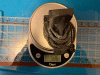 IMG_5598.gif IMG_5598.gif