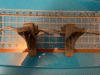IMG_5584.gif IMG_5584.gif