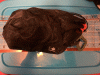 IMG_5589.gif IMG_5589.gif