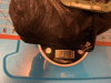 IMG_5588.gif IMG_5588.gif