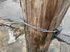 IMG_5591.gif IMG_5591.gif
