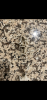 DA9A138A-2A99-4D88-8715-94C446D316CA.png DA9A138A-2A99-4D88-8715-94C446D316CA.png