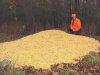 corn pile.jpg