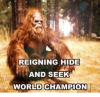 reigning-hide-and-seek-world-champion-5448647.png