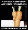 Carrot Baby.jpg