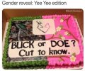 gender-reveal-yee-yee-edition-sa-earldibblesjr-buck-or-doe-cut-know-cre.jpeg