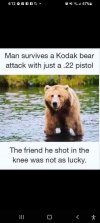 612fq-man-survives-kodak-bear-attack-with-just-22-pistol-friend-he-shot-knee-not-as-lucky-67-o.jpeg